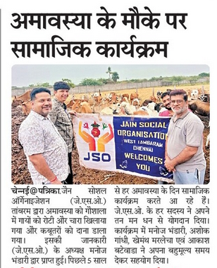 Jain Social Organization (JSO) Tambaram fed fodder to cows in the Gaushala on Amavasya